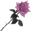 sticker_7666538_47482169