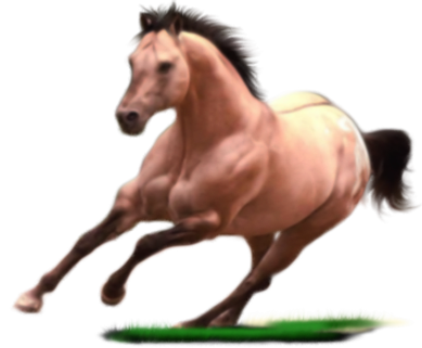 sticker_1556651_35025801