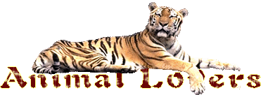 sticker_29192645_47519494