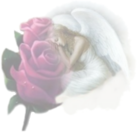 sticker_5139170_45833736