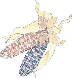 sticker_6507361_43924315
