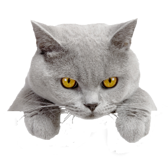 sticker_23019370_47543131