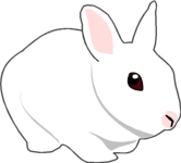 sticker_12455629_32149329