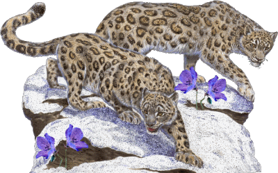 sticker_17423786_47542770