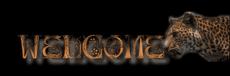 sticker_17423786_47542769