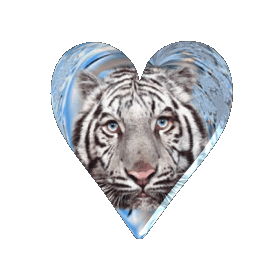 sticker_26056149_40350327