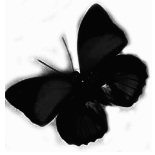 sticker_17838992_25612783