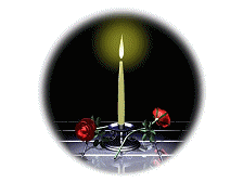 sticker_30379315_46390398