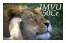 sticker_19895303_36946314