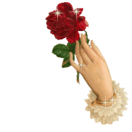 sticker_20261175_40242263