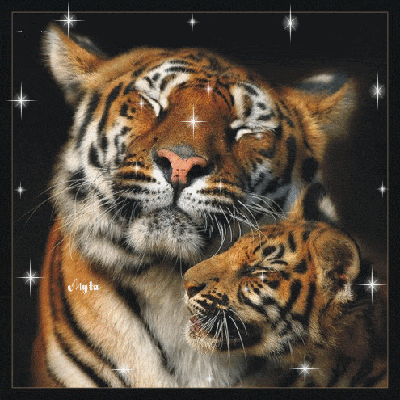 sticker_9436092_21806884