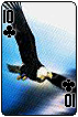 sticker_22933190_41438539