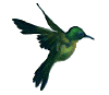sticker_18830951_42355403