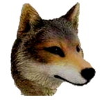 sticker_6889976_46239731