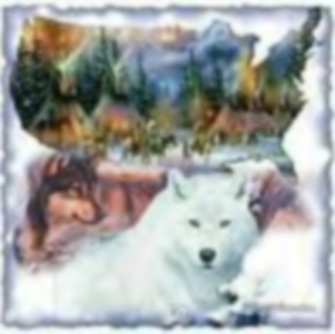 sticker_31028426_45077981