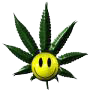 sticker_34582878_33