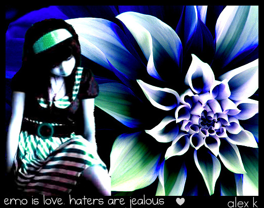 sticker_33029557_47568064