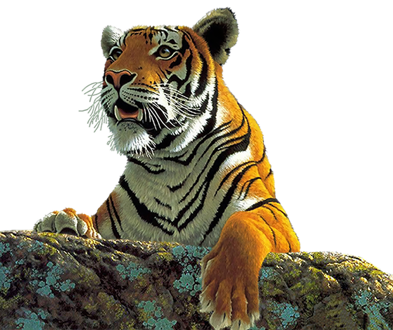 sticker_7263256_47240781