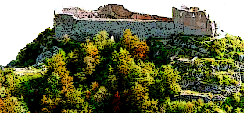 sticker_6135606_8819691