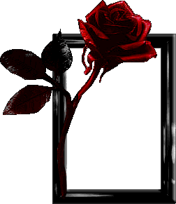 sticker_14902932_36991739