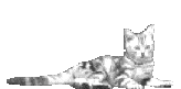 sticker_13658078_34062877