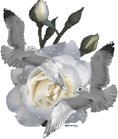sticker_4548725_6286675