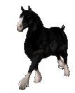 sticker_16421175_38793028