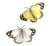 sticker_27187201_45927974