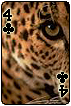 sticker_22933190_44496085