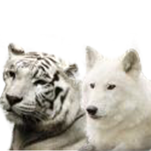 sticker_14201064_47079167