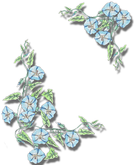 sticker_28204188_38099897