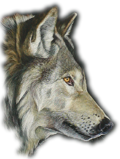 sticker_12417504_31966603