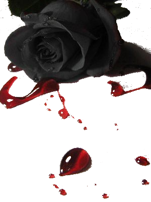 sticker_15223476_43459155