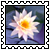 sticker_11954491_38979754