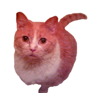 sticker_24006828_47318014
