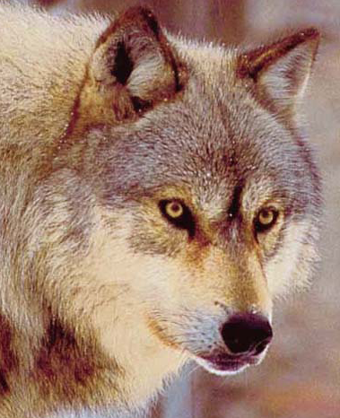 sticker_12417504_22709996