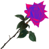 sticker_7666538_47482175