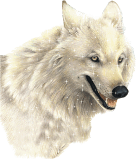 sticker_1222480_46416355