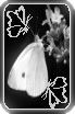 sticker_15602560_33485582