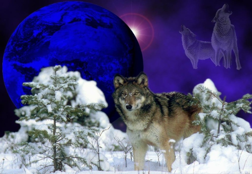 sticker_9579711_40418711