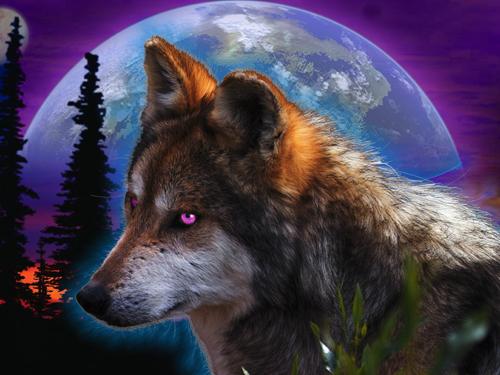 sticker_29732997_47318828
