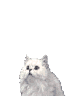 sticker_38446244_54