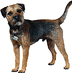 sticker_12417504_22939899