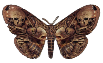 sticker_18496620_46036266