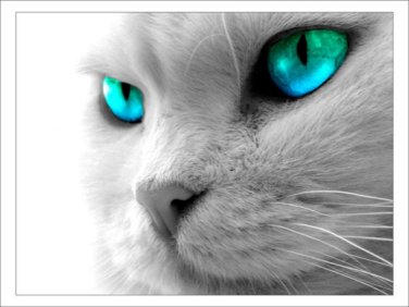 sticker_29392706_47504184