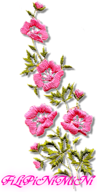 sticker_18321152_33495292