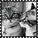 sticker_13712172_41286913