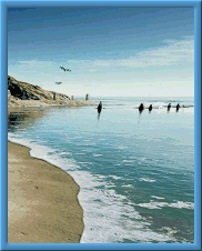 sticker_21284336_47599586