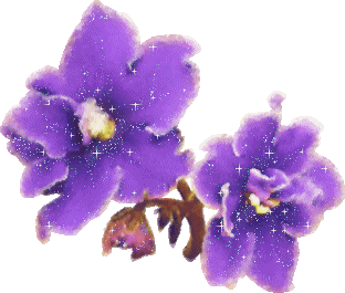 sticker_12517070_28371875