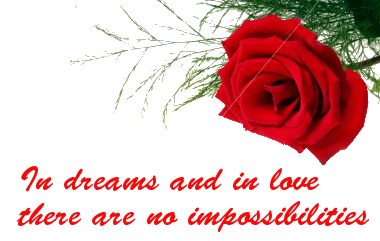 sticker_16716230_22837888